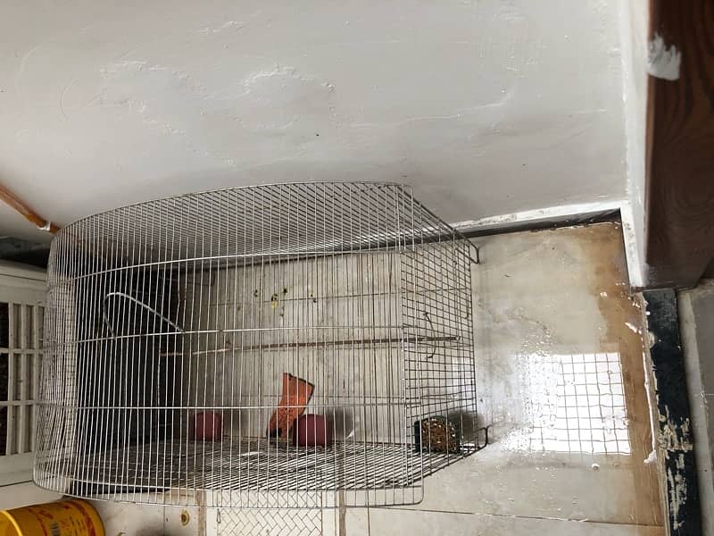 Big size cage full ok 10/9 condition 4