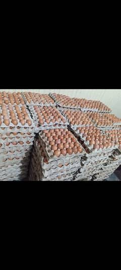 Desi eggs available contact Whatsapp 03184174754