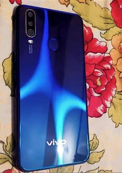 Vivo