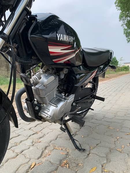 YB 125Z YAMAHA 6