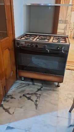 Gas oven