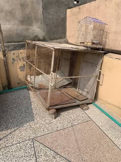 cage pingra for sale