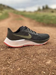 Nike Pegasus Zoom 37