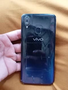 vivo