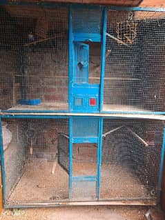 Wooden cages and Iron Cages (complete setup with Love Birds)