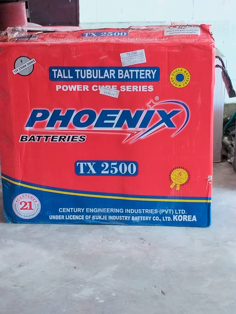 phoenix tall tubular TX2500 230 AH 1