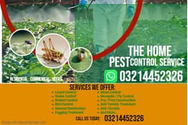 Mosquito Spray | Fumigation | Dengue Spray | Cockroach | Pest Control