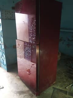 Pel fridge full size (glass door)