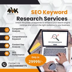 Passionate SEO Expert,Search Engine Optimization,SEO Services Pakistan