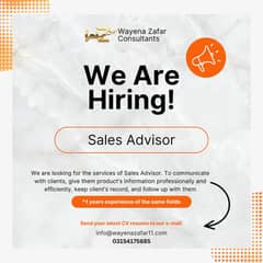 Sales Advisor 0