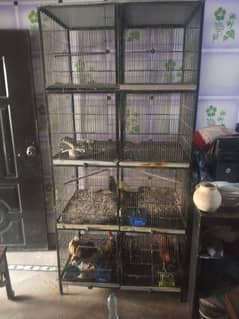 8 Portion Birds Professional Cage