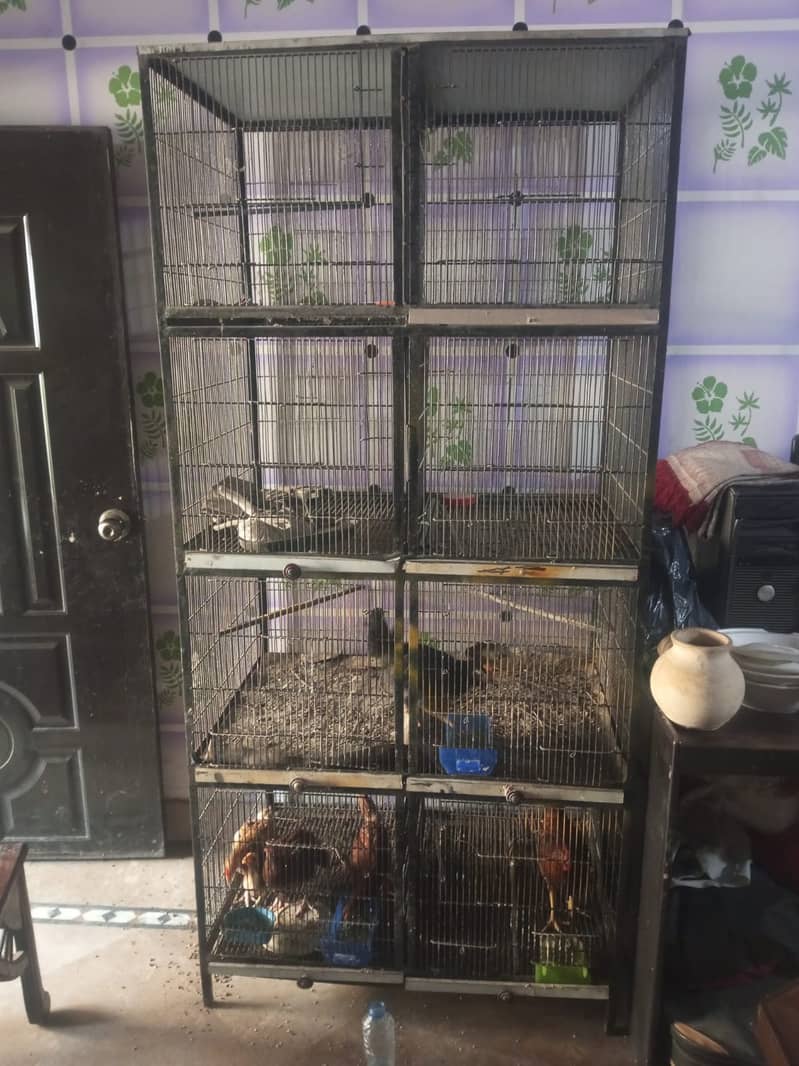 8 Portion Birds Professional Cage 1