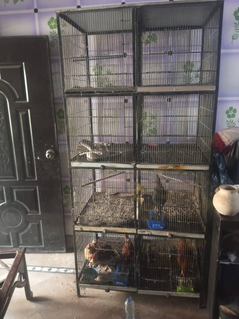 8 Portion Birds Professional Cage 2