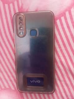 vivo