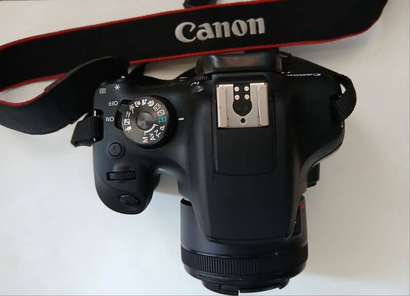 Canon EOS Rebel T7 7