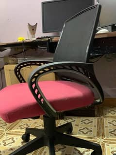 Computer/Office Chairs