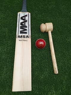 Hardball cricket bat