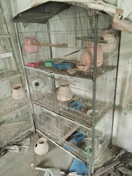 cage for sale 4