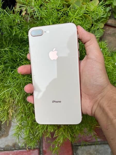 IPhone 8 Plus 1