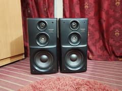 Pioneer Speakers Japanesse