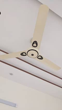 ceiling fan