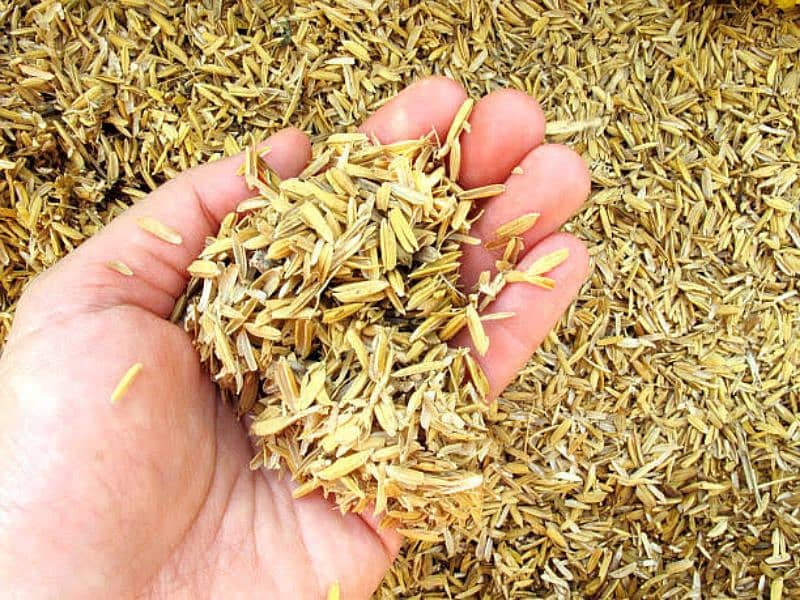 Rice Husk for Hens & chickens | Delivery All Pakistan 2