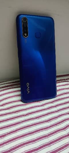 Vivo