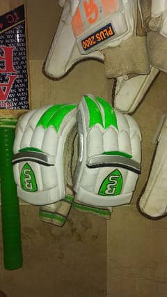 Cricket Pads,Gloves, Helmet