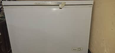 Freezer for Sale