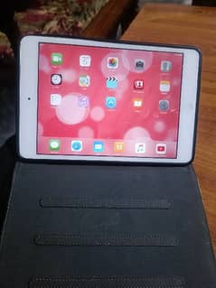 Ipad mini