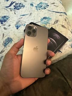 iphone 12 pro pta approved