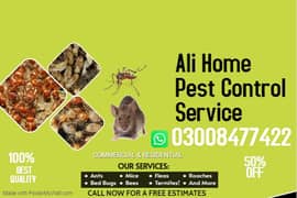 Termite Control,Pest Control, Fumigation Spray, Deemak Control dengue