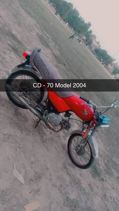 CD-70