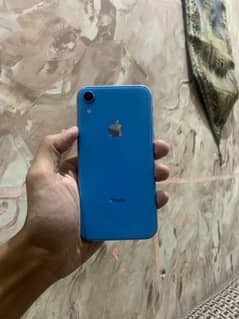 iphonexr