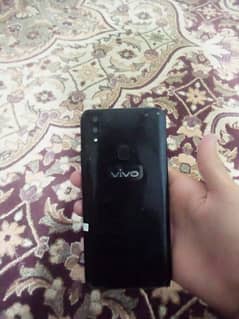 VIVO