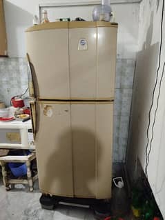 Used Pel Refrigerator for sale