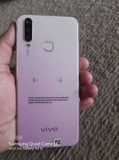 vivo