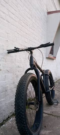 Fat bike