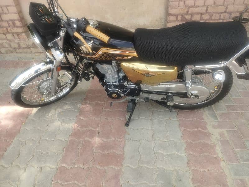 CG 125 GOLD Special edition 2024 1