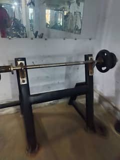 Bicep Stand