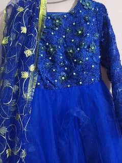 Fairy Frock , Colour Royal Blue, Fabric Net.