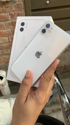 iphone 11 dual physical pta approved 64 gb