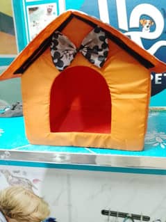 The Cat House The Best Collection