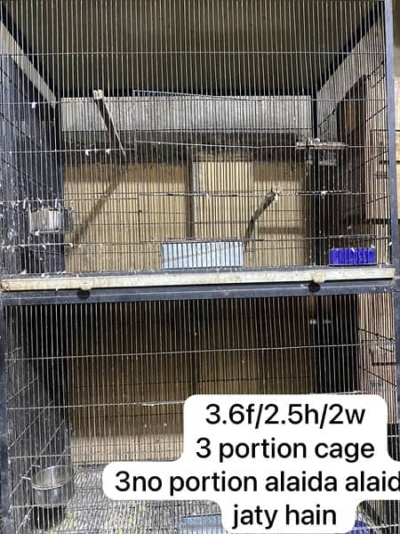 Big bird cages and love bird cages and boxes 4