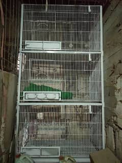 Raw Parrot Cage