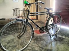 Bicycle for Sale