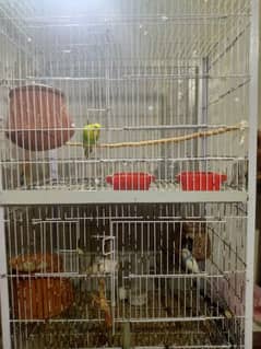 Bird Cage