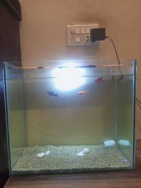 Aquarium for sale 2