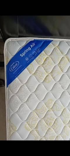 Master Celeste Spring Air Mattress