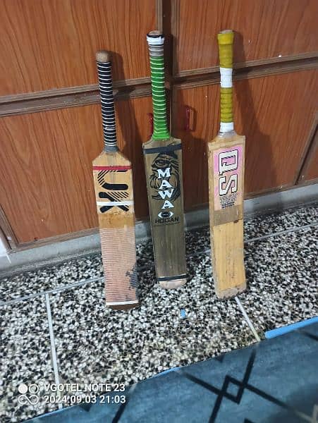 cricket bat coconut 4